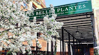 Photos du propriétaire du Restaurant français Les Belles Plantes à Paris - n°1