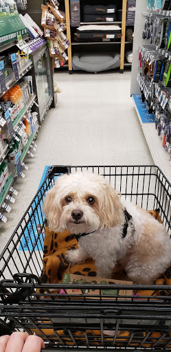 Pet Supply Store «Petco Animal Supplies», reviews and photos, 6137 Mid Rivers Mall Dr, St Charles, MO 63304, USA