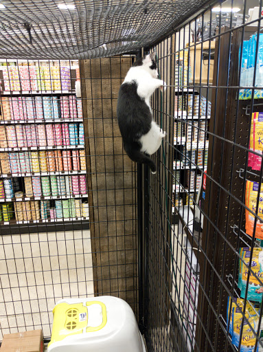 Pet Supply Store «Premier Pet Supply», reviews and photos, 15399 Merriman Rd, Livonia, MI 48154, USA