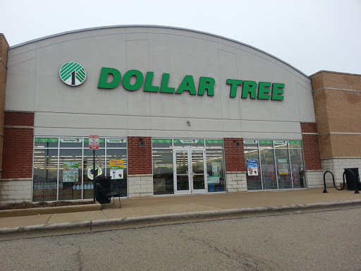 Dollar Store «Dollar Tree», reviews and photos, 16101 S Farrell Rd, Lockport, IL 60441, USA