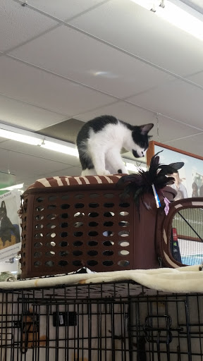 Pet Supply Store «Pet Food Express», reviews and photos, 3160 20th Ave, San Francisco, CA 94132, USA