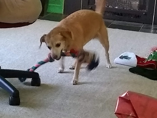 Pet Supply Store «Pet Food Warehouse, Ltd.», reviews and photos, 2455 Shelburne Rd, Shelburne, VT 05482, USA