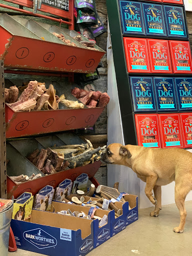 Pet Supply Store «Dog Dish», reviews and photos, 1778 Utica Square, Tulsa, OK 74114, USA