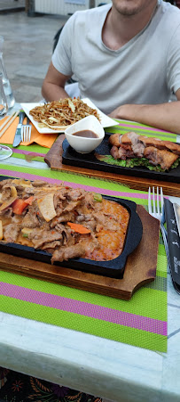 Plats et boissons du Restaurant chinois Restaurant Mailan à Troyes - n°19