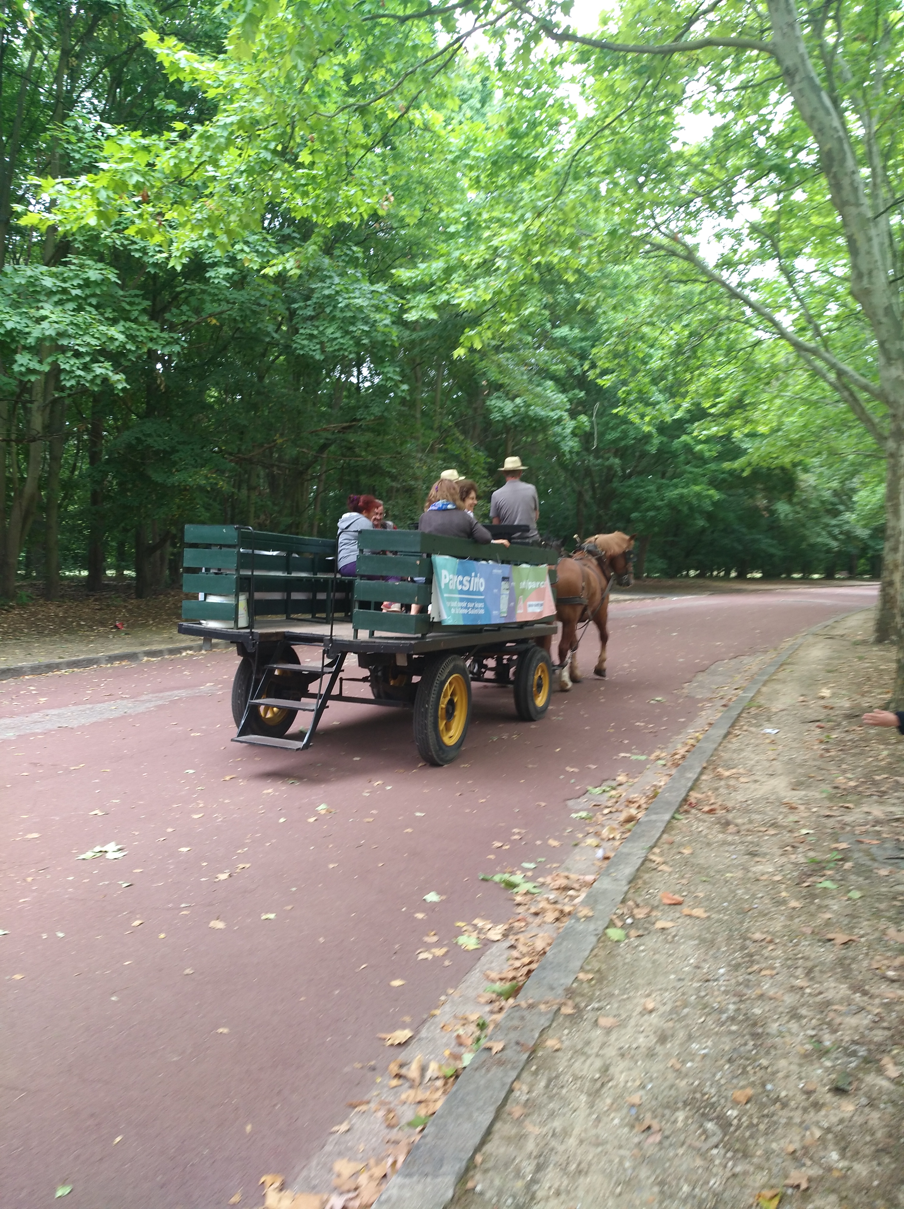 Photo n° 4 de l'avis de Vouivre.o fait le 20/08/2019 à 13:09