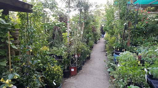 Garden Center «Ladera Garden & Gifts», reviews and photos, 3130 Alpine Rd #380, Portola Valley, CA 94028, USA
