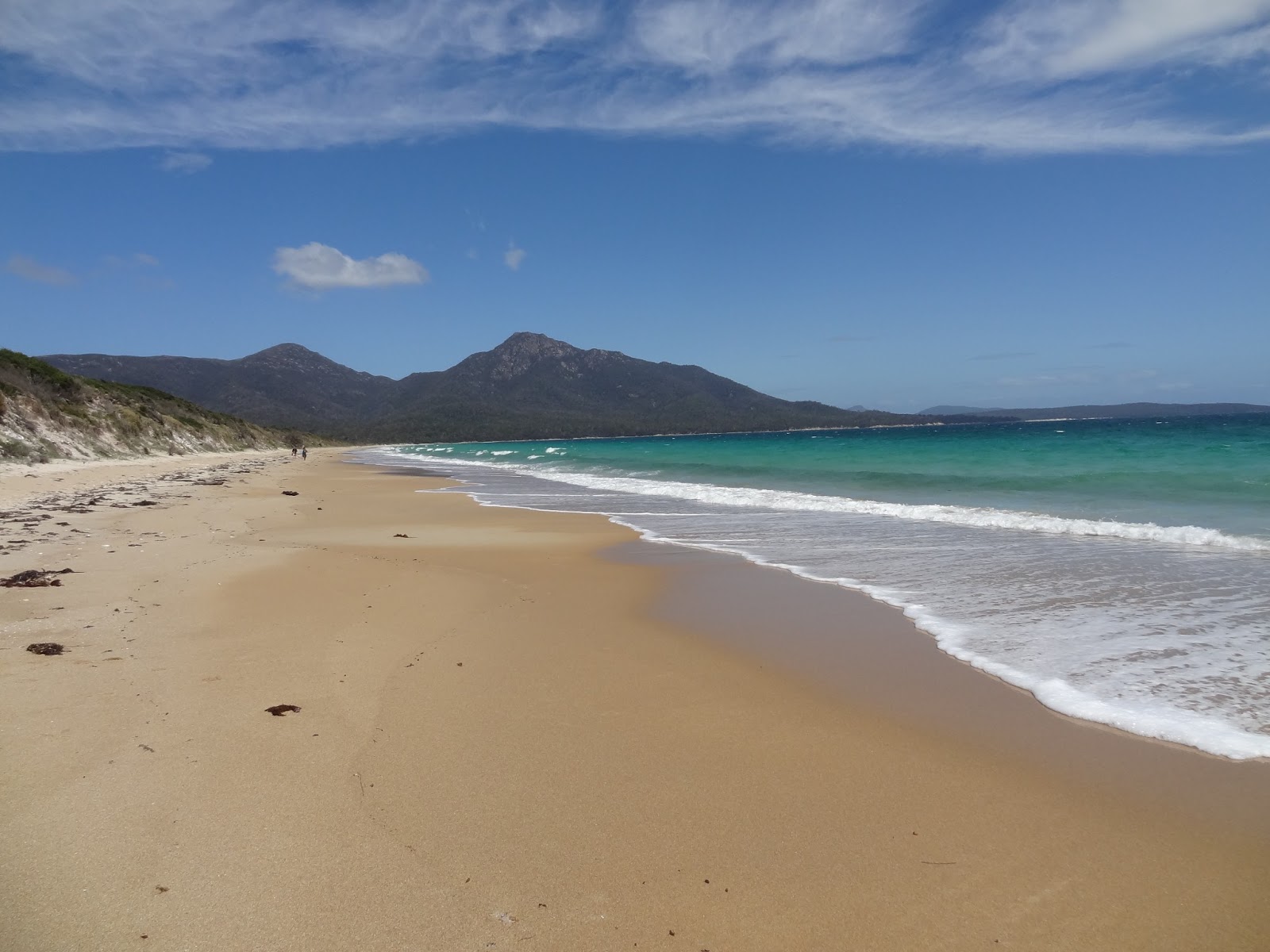 Fotografija Cooks Beach z svetel pesek in kamni površino