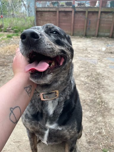 Store «Country Pet Farm & Garden Ltd», reviews and photos, 26170 Territorial Rd, Rogers, MN 55374, USA