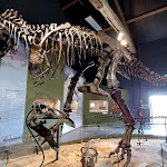 Photo n° 1 de l'avis de Bru.o fait le 23/08/2021 à 18:42 pour PALEOPOLIS à Gannat