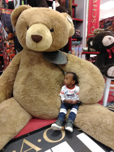 Shopping Mall «Westgate Mall», reviews and photos, 2285 Schoenersville Rd, Bethlehem, PA 18017, USA