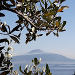 Photo n°1 de l'avis de Concetta.i fait le 23/07/2017 à 12:18 sur le  Resort le Axidie à Vico Equense