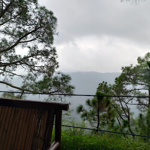 Nature Treat -the Camping Hub photo