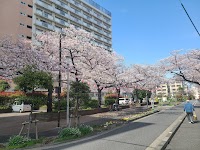 文花公園