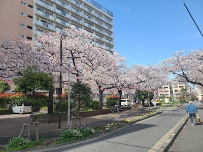 文花公園