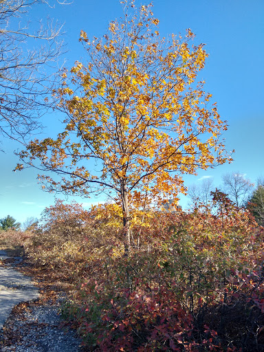 Observatory «Blue Hill Observatory Science Center Inc», reviews and photos, 1 Observatory Service Rd, Milton, MA 02186, USA