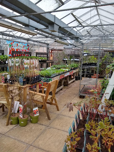 Reviews of Manor Garden Centre in Swindon - Landscaper