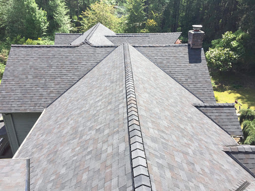 Affordable Roof Care in Port Orchard, Washington