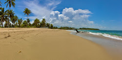 Zdjęcie Playa los Gringos z przestronna plaża