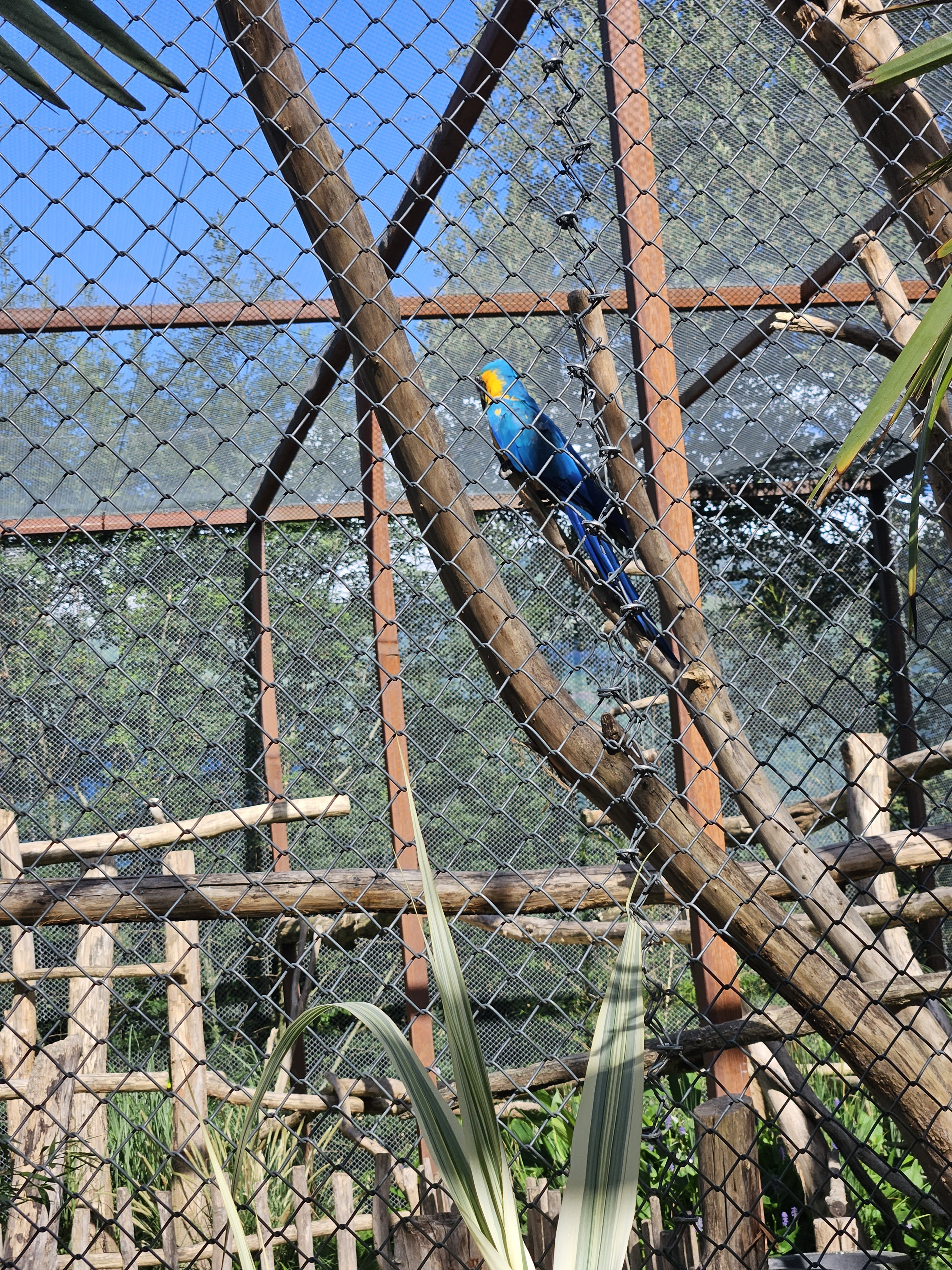 Photo n° 6 de l'avis de Christian.o fait le 01/08/2023 à 19:28