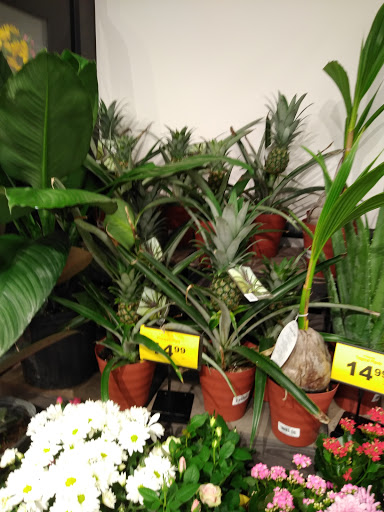 Grocery Store «Food Lion», reviews and photos, 83 Augusta Ave, Grottoes, VA 24441, USA