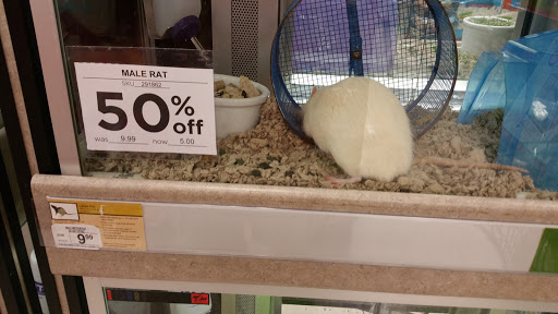 Pet Supply Store «Petco Animal Supplies», reviews and photos, 1951 N Military Trl c, West Palm Beach, FL 33409, USA