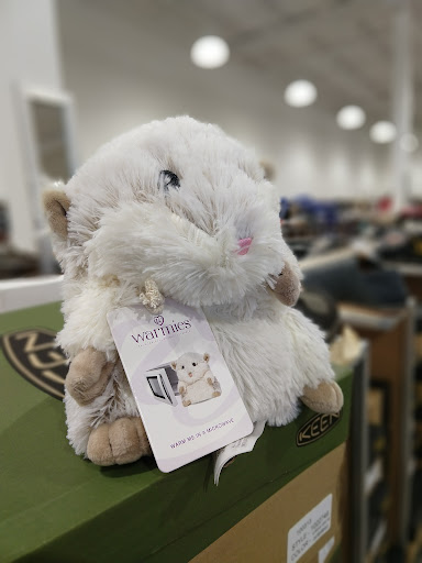 Shoe Store «DSW Designer Shoe Warehouse», reviews and photos, 11531 Fountains Dr, Maple Grove, MN 55369, USA