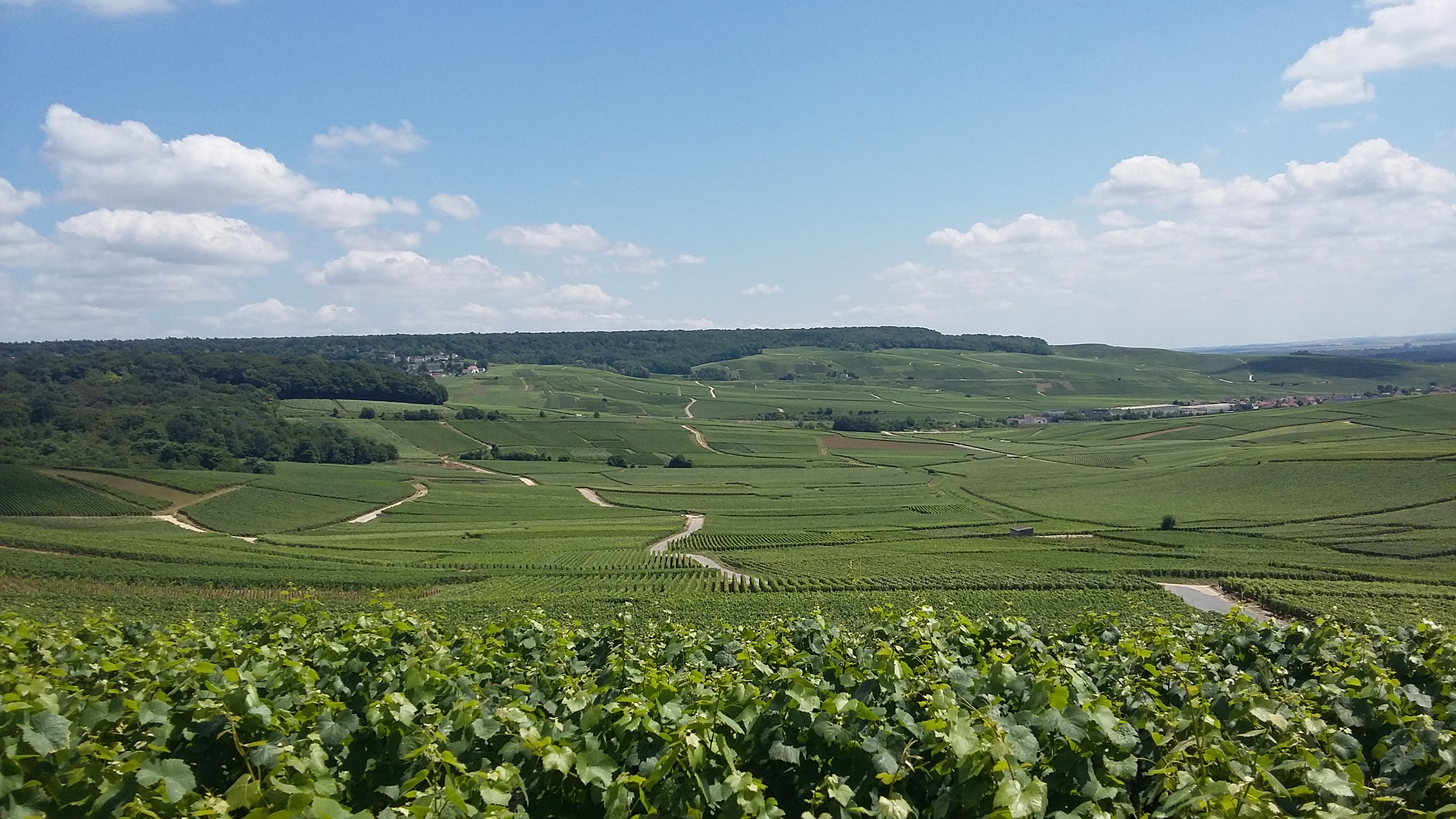 Photo n° 1 de l'avis de Sabine. fait le 24/07/2016 à 12:27