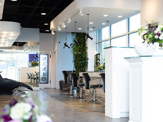 Vivid Hair Boutique and Blow Dry Bar