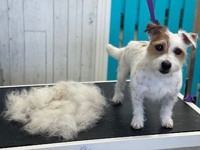 Ayros Dog Grooming Salon