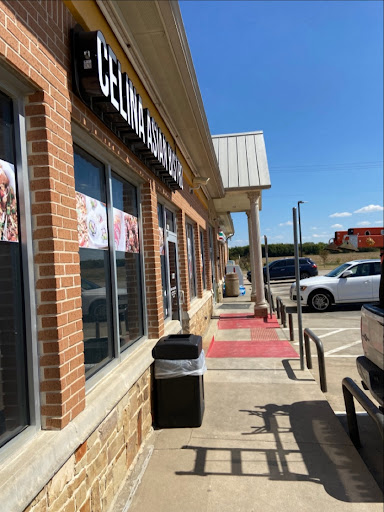 Celina Asian Bistro Revolutionizes the Culinary Scene with Authentic Flavors and Modern Twists