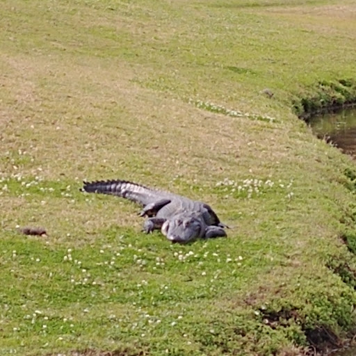 Golf Club «East Bay Golf Club», reviews and photos, 702 Country Club Dr, Largo, FL 33771, USA