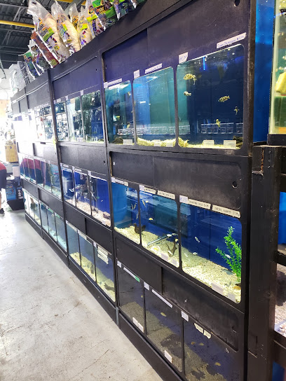 Kangen Fish Aquatics and Pets