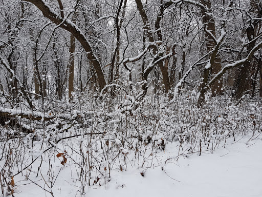 Community Park «Peterson Park», reviews and photos, 5801 N Pulaski Rd, Chicago, IL 60646, USA