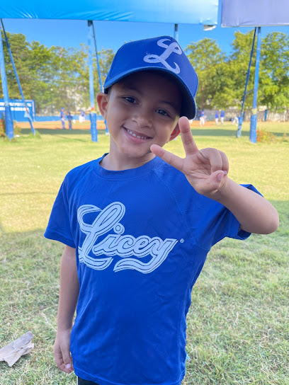 Liga Infantil Licey - F3QF+J85, Santo Domingo, Dominican Republic