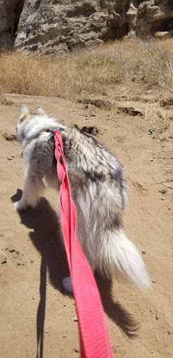 Pet Supply Store «Petco Animal Supplies», reviews and photos, 8800 Tampa Ave, Northridge, CA 91324, USA