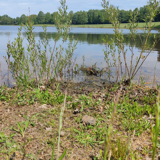 Park «Buffalo Trace Park», reviews and photos, 1540 US-150, Palmyra, IN 47164, USA