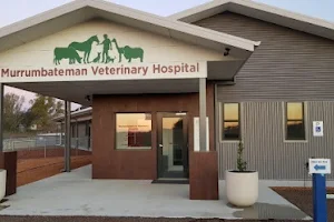 Murrumbateman Veterinary Hospital image