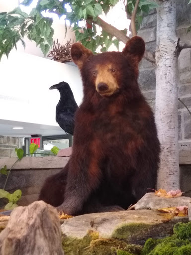 Park «Robert Moses State Park», reviews and photos, 32 Beach Marina Rd, Massena, NY 13662, USA