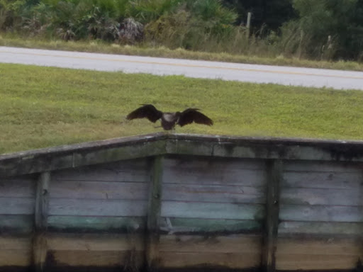 Insurance Agency «GEICO Corporate Office», reviews and photos