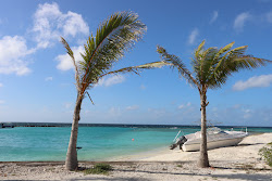 Cinnamon Dhonveli Beach'in fotoğrafı ve yerleşim