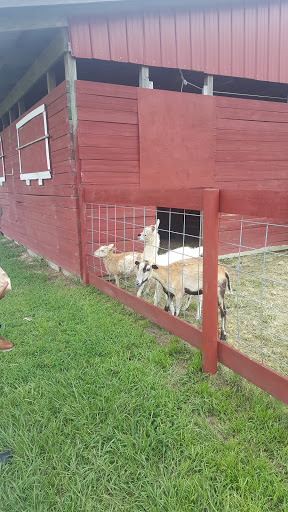 Zoo «Petting zoo Ocala», reviews and photos, 11150 FL-40, Ocala, FL 34482, USA