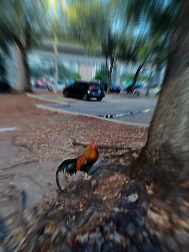 Liquor Store «Publix Liquors at Brickell Village», reviews and photos, 118 SW 13th St, Miami, FL 33130, USA