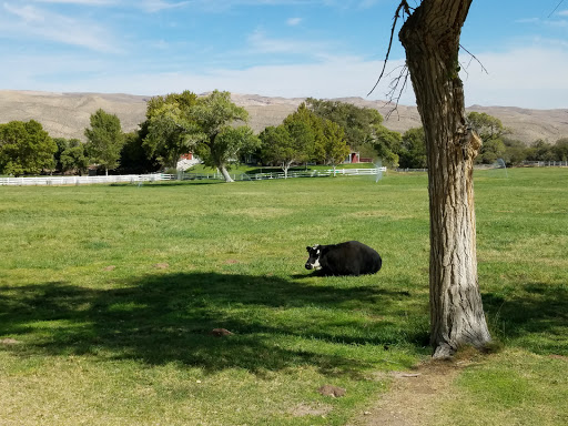 National Reserve «Red Rock Canyon National Conservation Area», reviews and photos, 1000 Scenic Loop Dr, Las Vegas, NV 89161, USA
