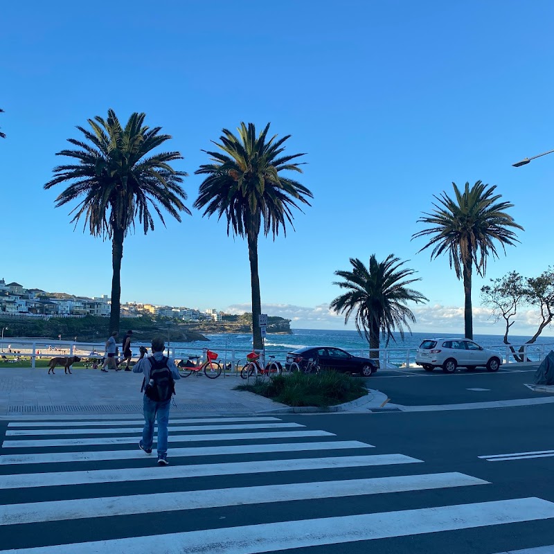 Bronte Beach Terminus, Bus Intg