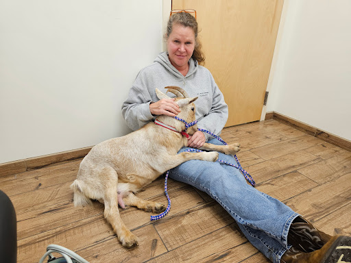 Pamlico Animal Hospital image