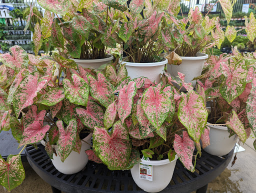 Department Store «Walmart Supercenter», reviews and photos, 6721 Chesapeake Center Dr, Glen Burnie, MD 21060, USA