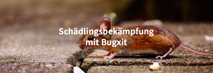 BUGXIT GmbH - Kammerjäger
