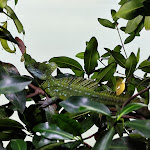 Photo n°5 de l'avis de Melanie.� fait le 23/08/2023 à 15:36 sur le  Aquarium Wilhelmshaven incl. Prehistoric Sea Museum à Wilhelmshaven