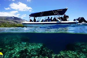 Dive Timor Lorosae image