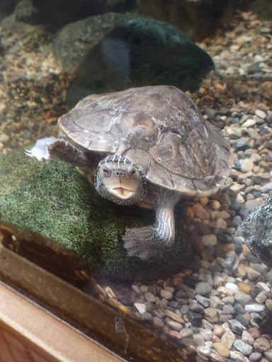 Nature Preserve «DeGraaf Nature Center», reviews and photos, 600 Graafschap Rd, Holland, MI 49423, USA